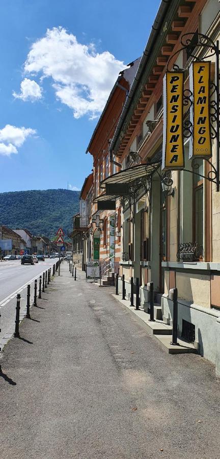 Pension Flamingo Braşov Buitenkant foto
