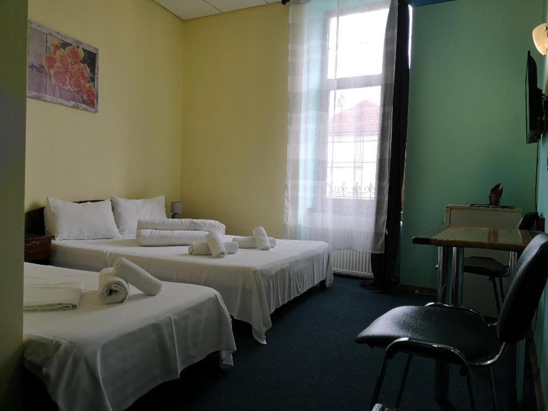 Pension Flamingo Braşov Buitenkant foto