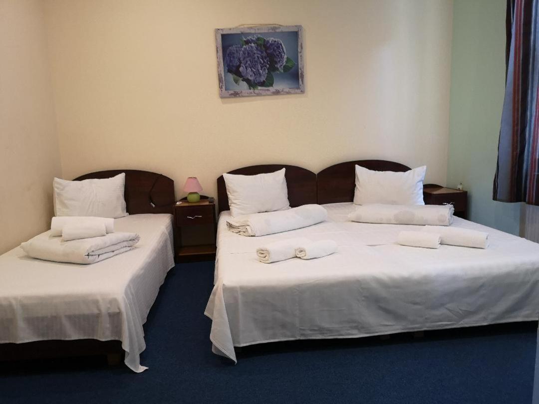 Pension Flamingo Braşov Buitenkant foto