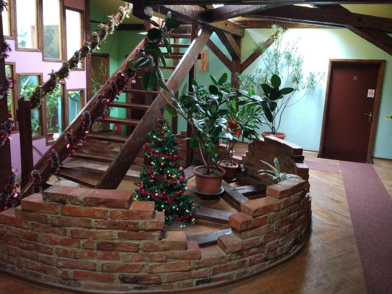 Pension Flamingo Braşov Buitenkant foto
